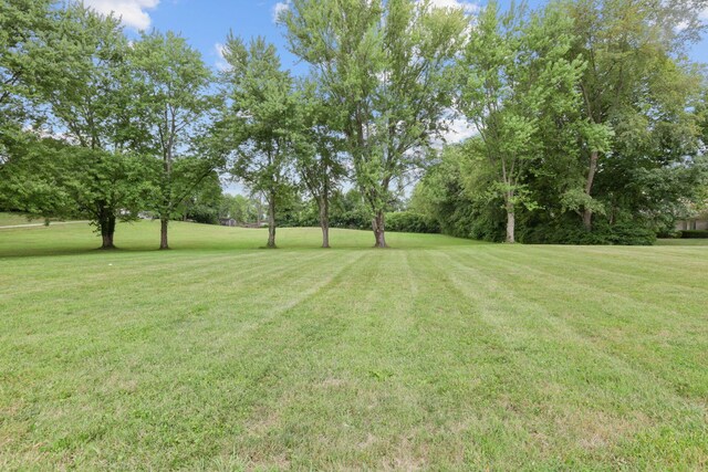 219 N Hamilton Rd, Gahanna, OH 43230 - photo 8