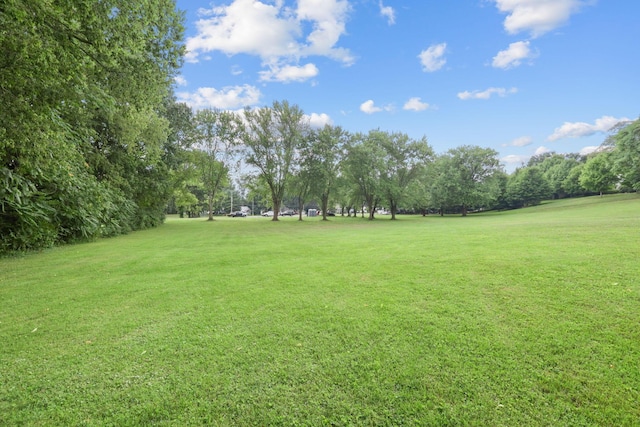 219 N Hamilton Rd, Gahanna, OH 43230 - photo 9