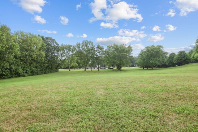 219 N Hamilton Rd, Gahanna, OH 43230 - photo 10