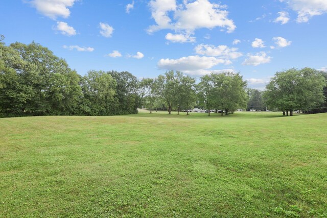 219 N Hamilton Rd, Gahanna, OH 43230 - photo 11