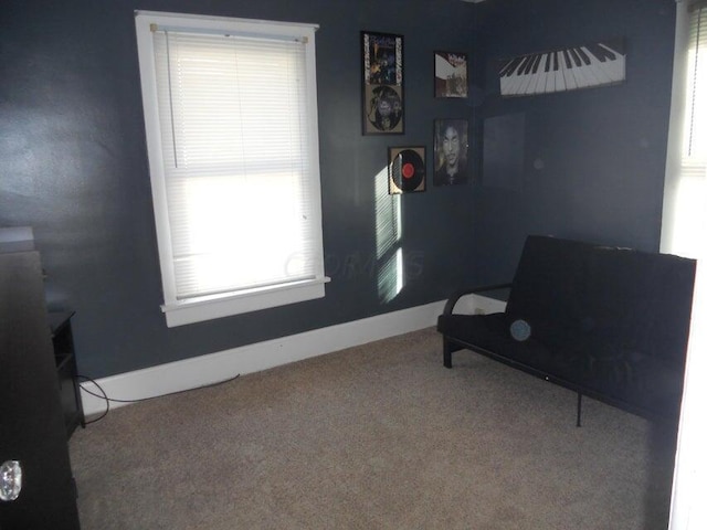 living area with carpet