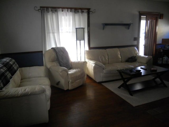 living room with dark wood-type flooring