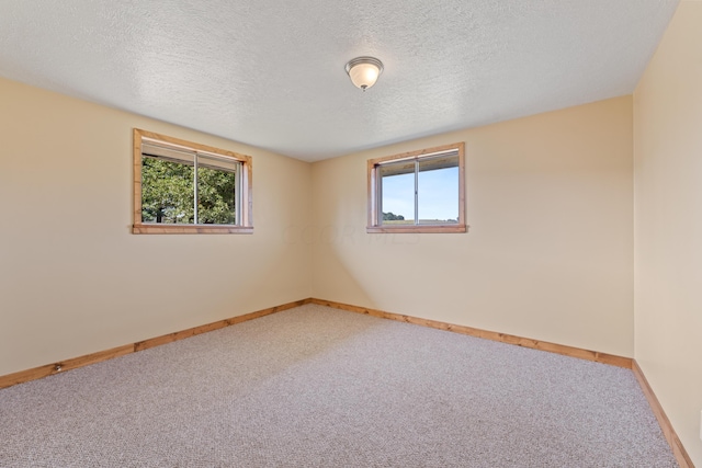 empty room with a wealth of natural light, carpet floors, and a textured ceiling