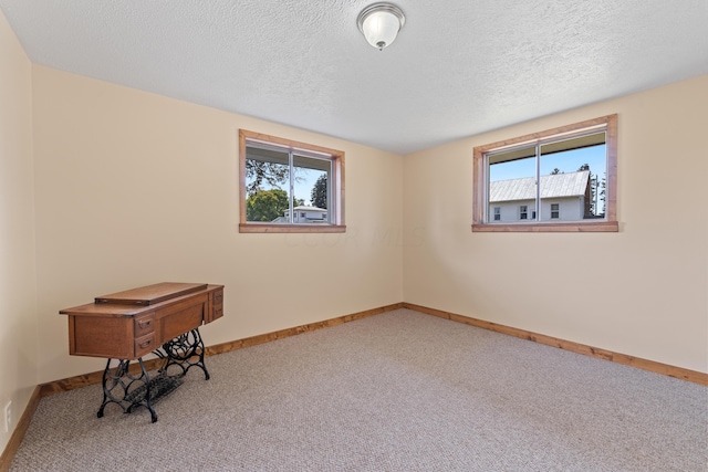 interior space featuring carpet and a textured ceiling