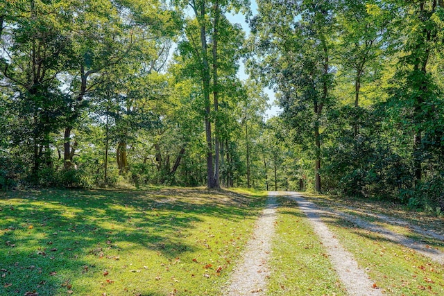 view of road