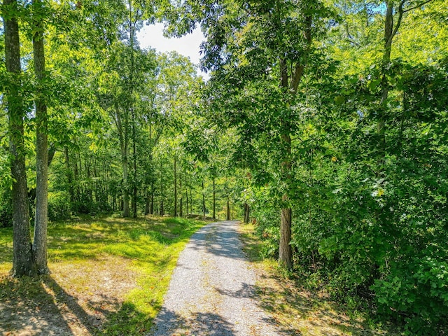 view of road