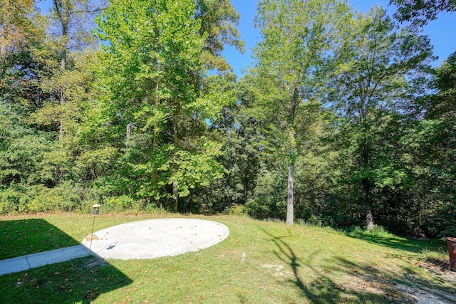 view of yard with a patio area