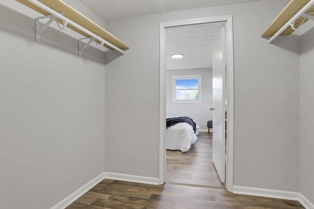 spacious closet featuring dark hardwood / wood-style flooring