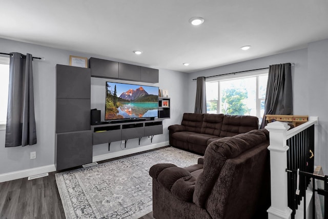 living room featuring wood-type flooring