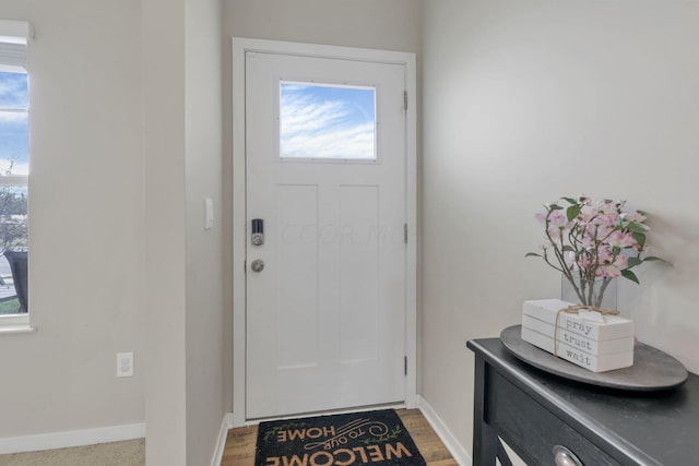 foyer featuring a healthy amount of sunlight