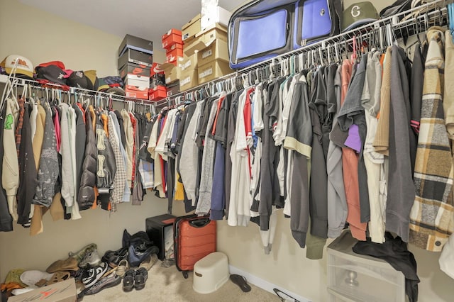 walk in closet featuring carpet floors