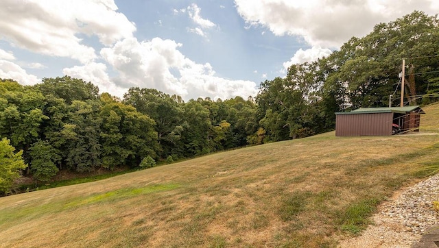 view of yard featuring an outdoor structure