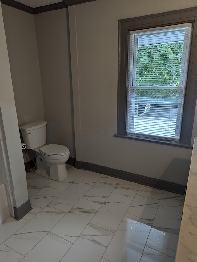 bathroom with toilet and ornamental molding