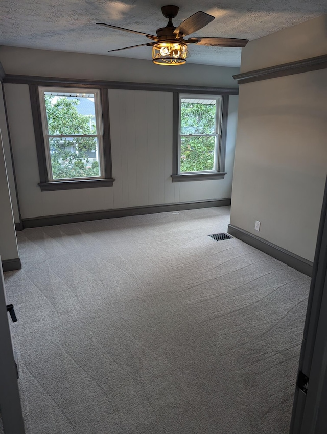 empty room with light colored carpet, a textured ceiling, and a wealth of natural light