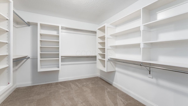 spacious closet with carpet flooring