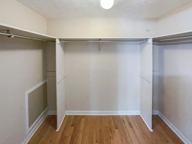 walk in closet with hardwood / wood-style flooring