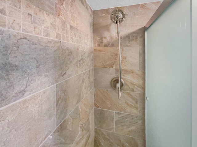 room details with tiled shower