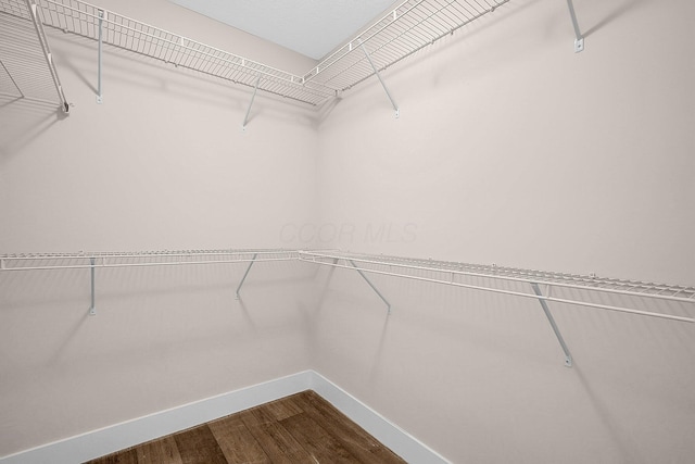 walk in closet featuring hardwood / wood-style floors