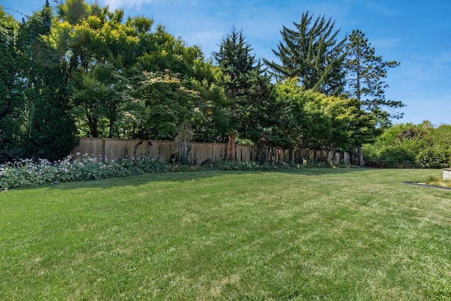 view of yard featuring fence