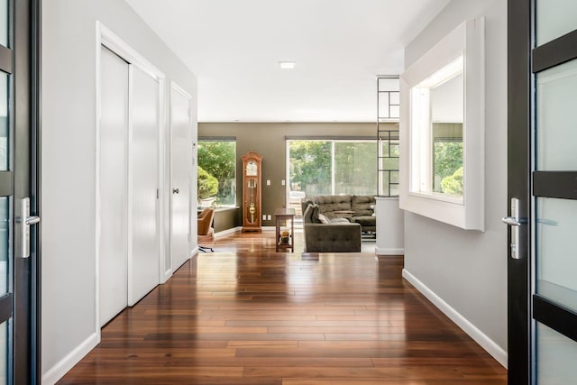 foyer with baseboards and wood-type flooring