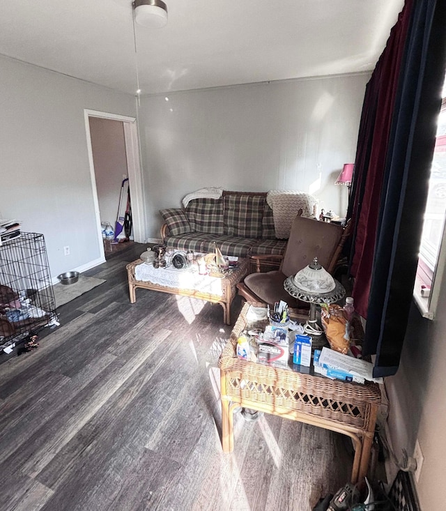 living room featuring hardwood / wood-style floors