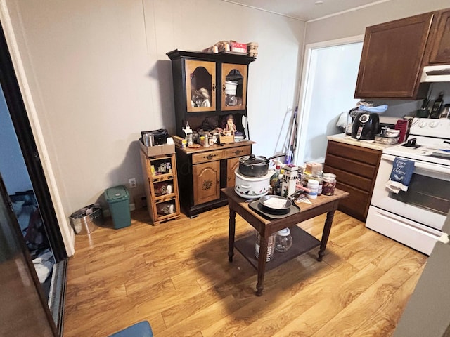 kitchen with dark brown cabinets, electric range, ventilation hood, and light hardwood / wood-style flooring