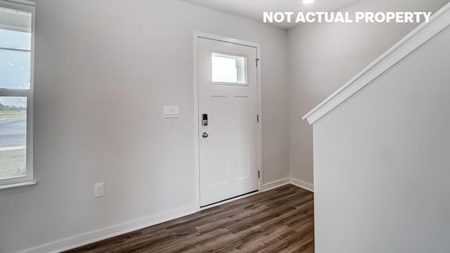 foyer entrance featuring dark hardwood / wood-style floors and a wealth of natural light