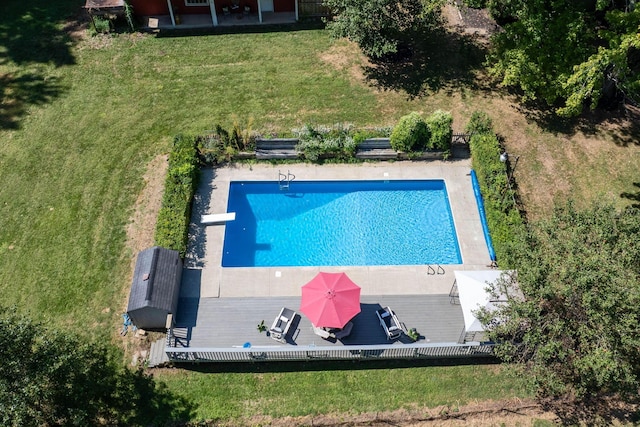 outdoor pool with a yard and a diving board