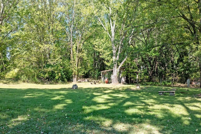 view of yard featuring an outbuilding and a view of trees