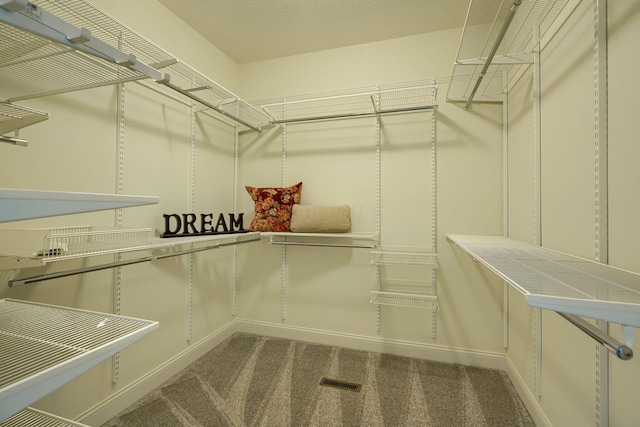 walk in closet with carpet flooring