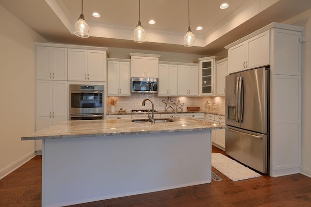 kitchen with a raised ceiling, hanging light fixtures, stainless steel appliances, and dark hardwood / wood-style floors