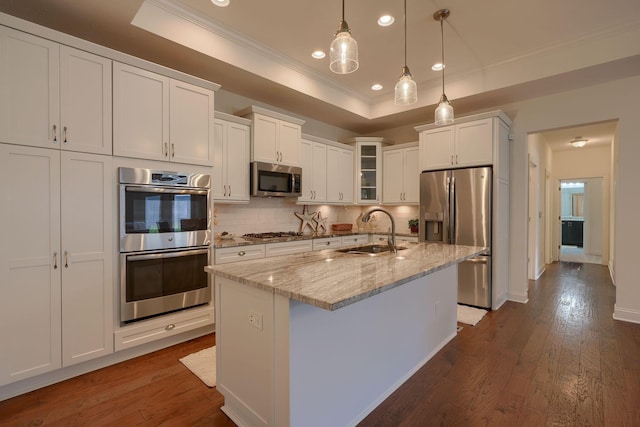 kitchen with dark wood-type flooring, hanging light fixtures, sink, an island with sink, and appliances with stainless steel finishes