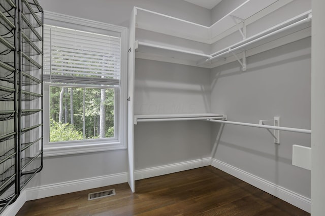 walk in closet featuring dark wood-type flooring