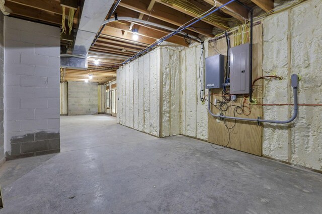 basement with electric panel