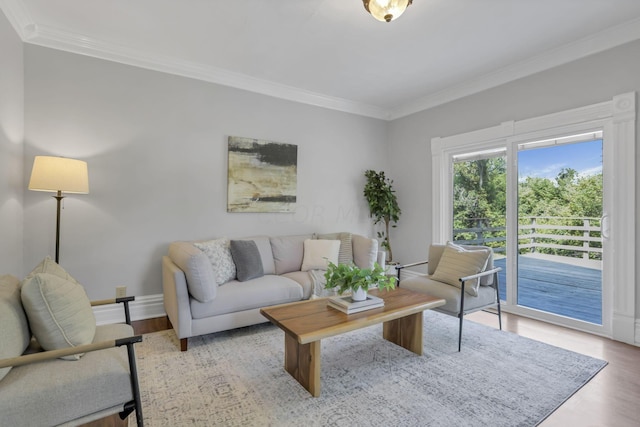 living room with light hardwood / wood-style floors and crown molding