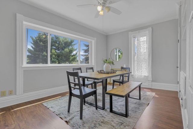 dining space featuring a wealth of natural light, ceiling fan, and dark hardwood / wood-style floors