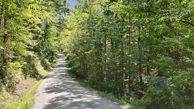 0 Clapper Hollow Rd, Laurelville, OH 43135 - photo 6