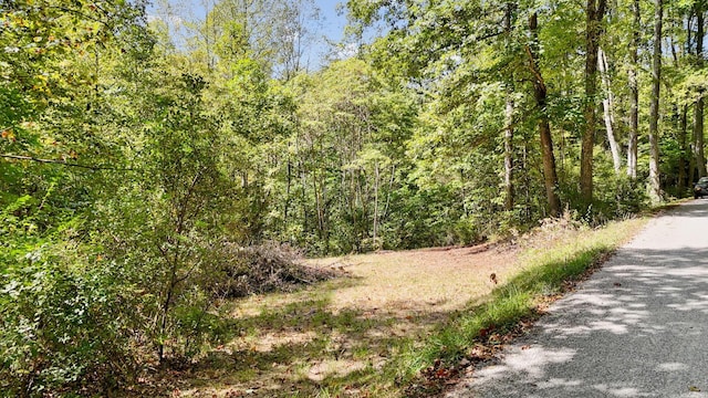 0 Clapper Hollow Rd, Laurelville, OH 43135 - photo 8