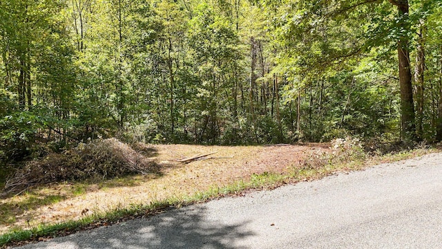 0 Clapper Hollow Rd, Laurelville, OH 43135 - photo 10