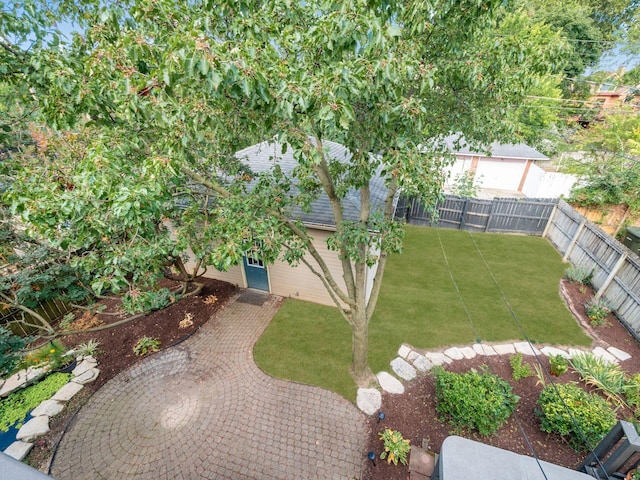 view of yard with a patio area