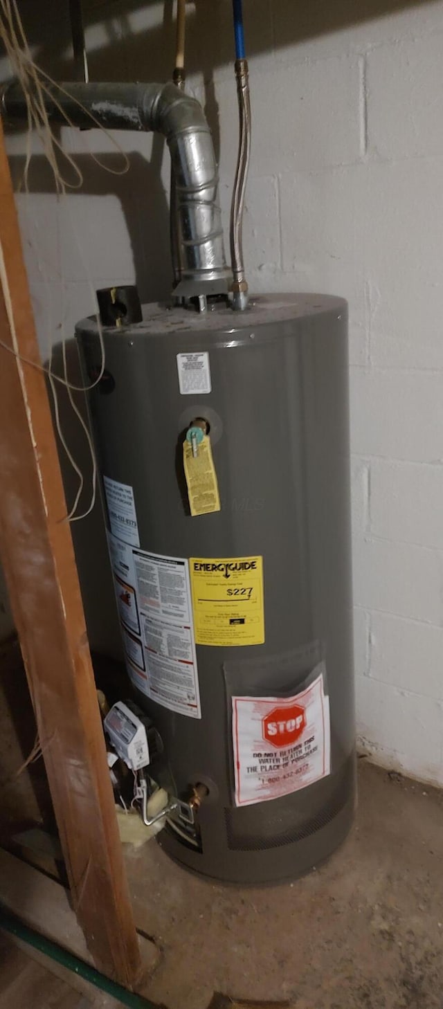 utility room with gas water heater