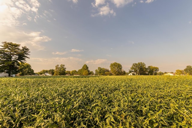 view of landscape featuring a rural view