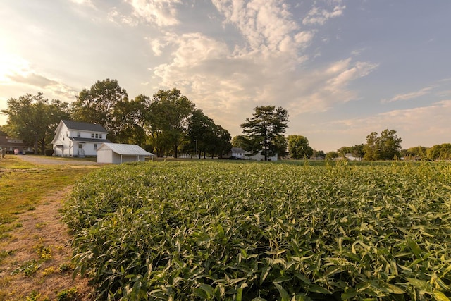 view of yard with a rural view