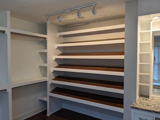 spacious closet with dark hardwood / wood-style floors