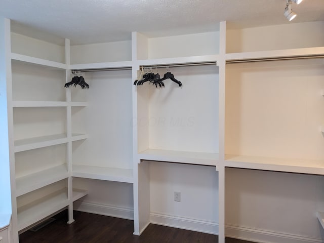 walk in closet featuring dark wood-type flooring