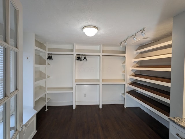 spacious closet with dark wood-type flooring