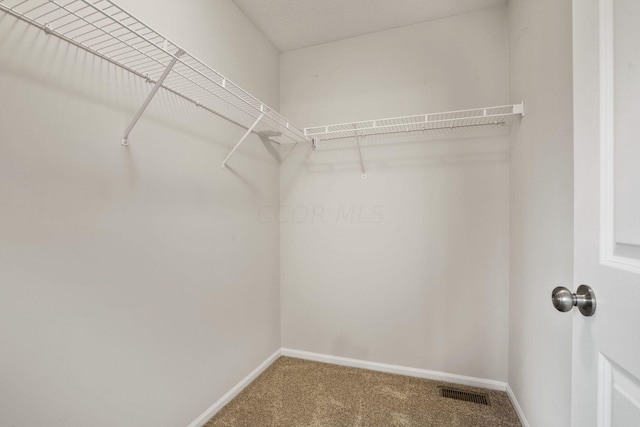 walk in closet with carpet floors