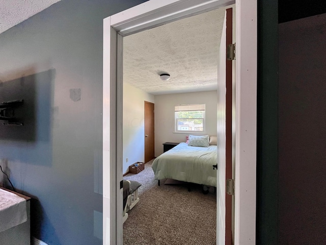 bedroom featuring carpet flooring and a textured ceiling