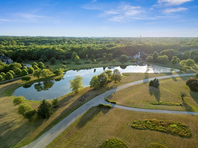 aerial view featuring a water view and a view of trees
