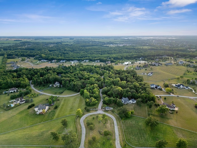 bird's eye view